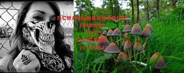 ГАЛЛЮЦИНОГЕННЫЕ ГРИБЫ Белоозёрский