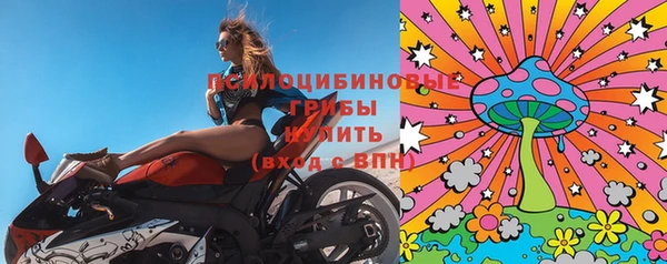 ГАЛЛЮЦИНОГЕННЫЕ ГРИБЫ Белоозёрский
