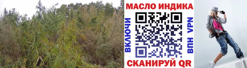 мориарти какой сайт  Бутурлиновка  ТГК концентрат 
