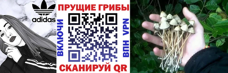 наркошоп МЕГА ССЫЛКА Галлюциногенные грибы ЛСД Бутурлиновка