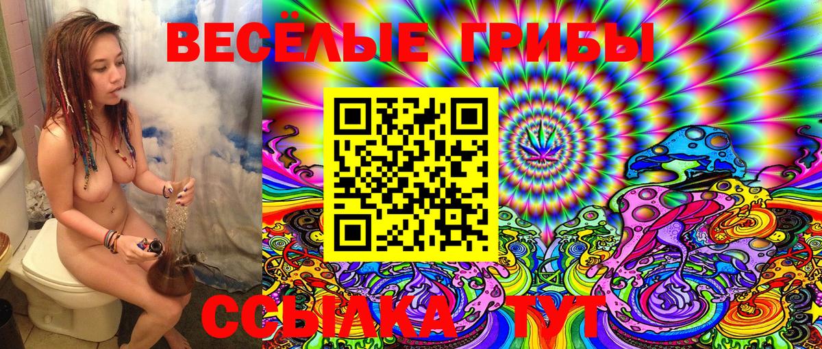 Псилоцибиновые грибы Cubensis Бутурлиновка